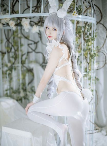芈月传电视剧81集免费策驰_BD日本电影免费